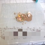 クイントカント - 