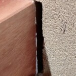 御料理 古川 - この隙間から風が吹く～