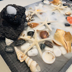 ランベリー - 食べれるのはどれ？