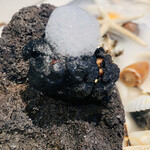 ランベリー - タコが泡吹いてる。