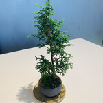 ランベリー - テーブルにもグリーンが。