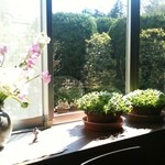 Sobaisubaisato - 窓辺の鉢植え