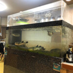 活ふぐ料理 ひゃく - 