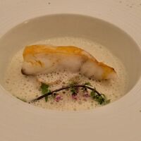 オーベルジュ・ド・リル トーキョー - ヒラメのロティ、ウニ風味　シュークルート・エミュルション