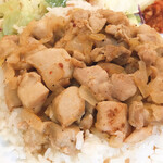 Toruko Resutoran Chankaya - 鶏肉と野菜炒めがライスにオン
