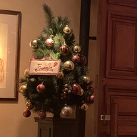 フィオッキ - クリスマスツリー