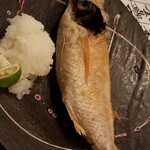 酒ト魚 きんぎょ - のどぐろ