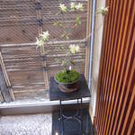 滝乃家 - 2012年3月　ヒカゲツツジ。貴重な植物の一つとされています。