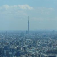 サンシャイン クルーズ・クルーズ - 