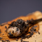 プレゼンテ スギ - 2020.1 国鳥（地物の雉とトリュフのポルペッティ トリュフがけ）