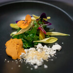 プレゼンテ スギ - 2020.1 Sugi畑をお皿に乗せて