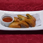 タージタンドール - 料理写真