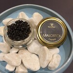 プレゼンテ スギ - ０２