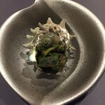 プレゼンテ スギ - ０９