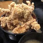 Karaage Hitosuji - 