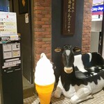 北海道牛乳カステラ - 