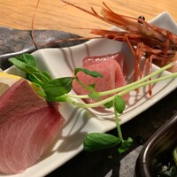 KINKA sushi bar izakaya 渋谷 - 