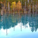 白金温泉郷 森の旅亭 びえい - 