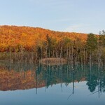 白金温泉郷 森の旅亭 びえい - 