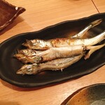 蕎楽亭 もがみ - 