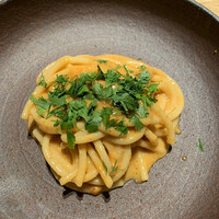 マンサルヴァ - 