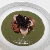 フォリオリーナ・デッラ・ポルタ・フォルトゥーナ - 