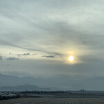 中華蕎麦 春馬 - 朝日〜✨✨✨