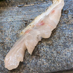 寿司栄 - ノドグロ