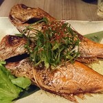 完全個室と本格和食 桜花 - 