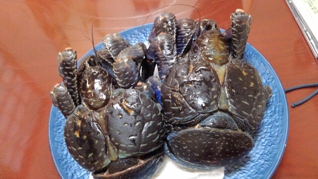 ヤシガニの味噌超濃厚 By おどる宝石 はーりー 石垣市 割烹 小料理 食べログ ヤシガニの味噌超濃厚 By おどる宝石 はーりー 石垣市 割烹 小料理 食べログ