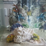 ラーメン二郎 - フグの水槽