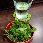 タイジンジャー - パクチー増し