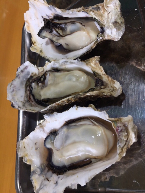 舞阪マルマ 幸福丸 舞阪 魚介料理 海鮮料理 食べログ 舞阪マルマ 幸福丸 舞阪 魚介料理 海鮮料理 食べログ