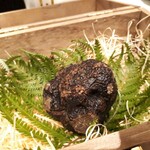 GINZA JOTAKI - フランスはペリゴールのフレッシュ黒トリュフ