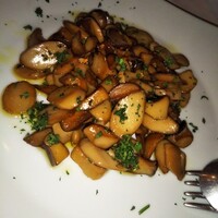 アンティカ・ローマ - 