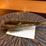 一心鮨 光洋 - Deep-fried Moroko　モロコの唐揚　