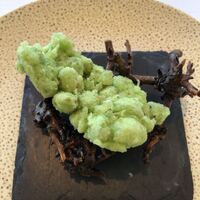 レストラン・モリエール - 