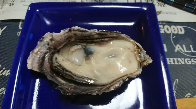 サンヒルズ - 桂台（その他）