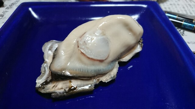 サンヒルズ - 桂台（その他）の写真