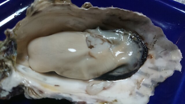 サンヒルズ - 桂台（その他）の写真