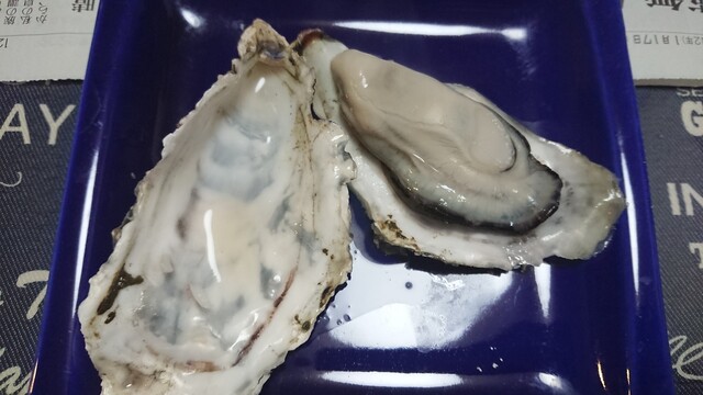 サンヒルズ - 桂台（その他）の写真