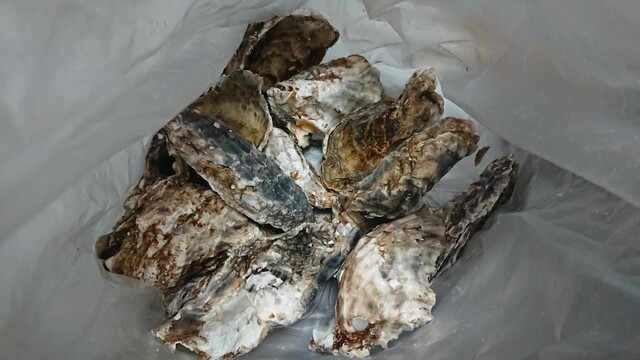 サンヒルズ - 桂台（その他）の写真