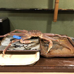 うを徳 - 島根県隠岐の松葉ガニ