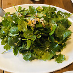 サウスラボ 南方 - パクチー