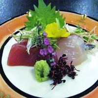 鶯啼庵 - お造り