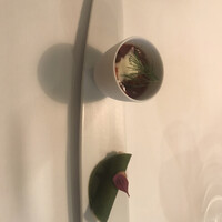 Installation Table ENSO L'asymetrie du calme - 