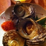 かじしか - サザエ♪