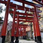 本格さぬきうどん　穂乃香 - 