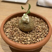 マンサルヴァ - 