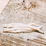 銀座 鮨 かねさか - 